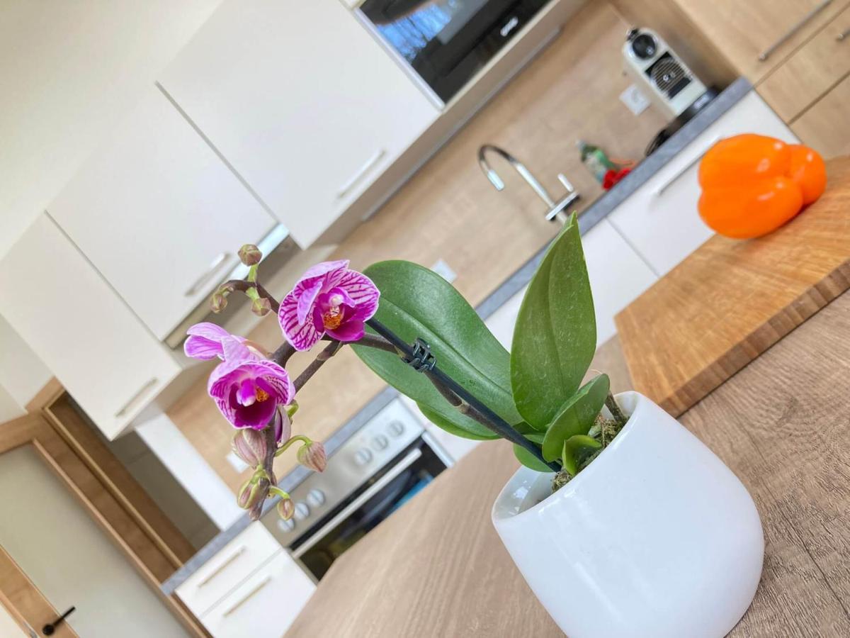 Appartements Blumenwiese رامساو أم داتشستين المظهر الخارجي الصورة