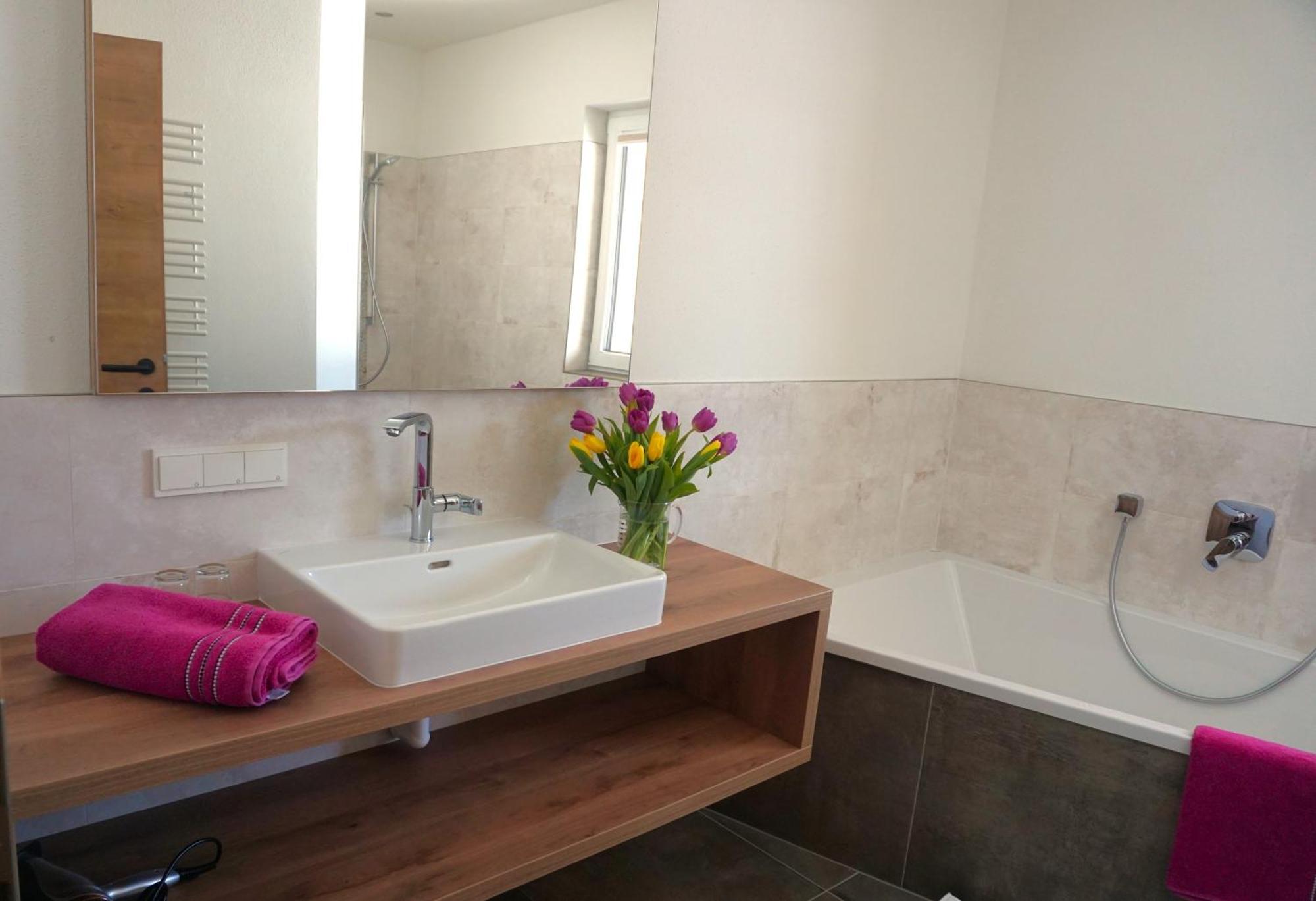 Appartements Blumenwiese رامساو أم داتشستين المظهر الخارجي الصورة