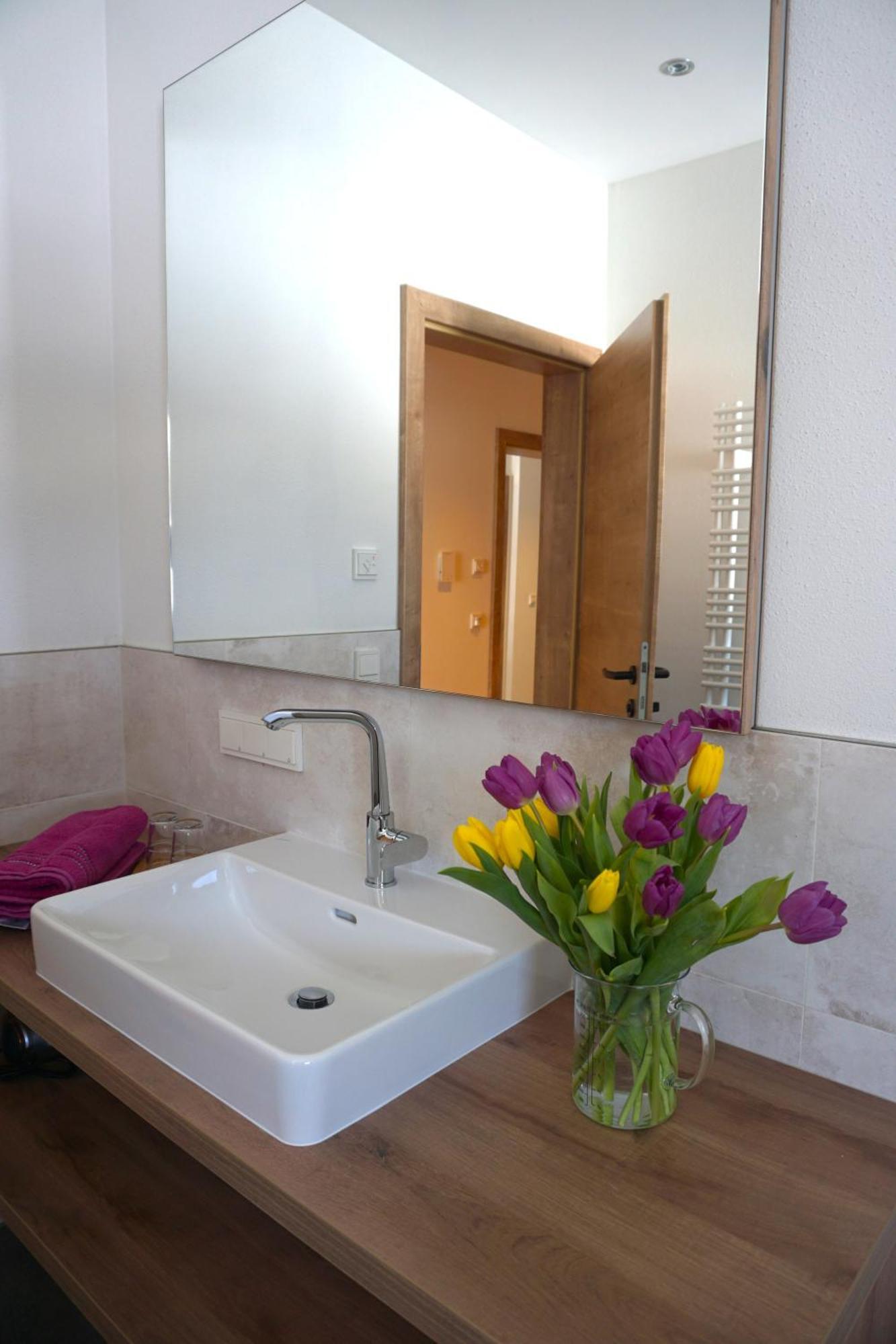 Appartements Blumenwiese رامساو أم داتشستين المظهر الخارجي الصورة