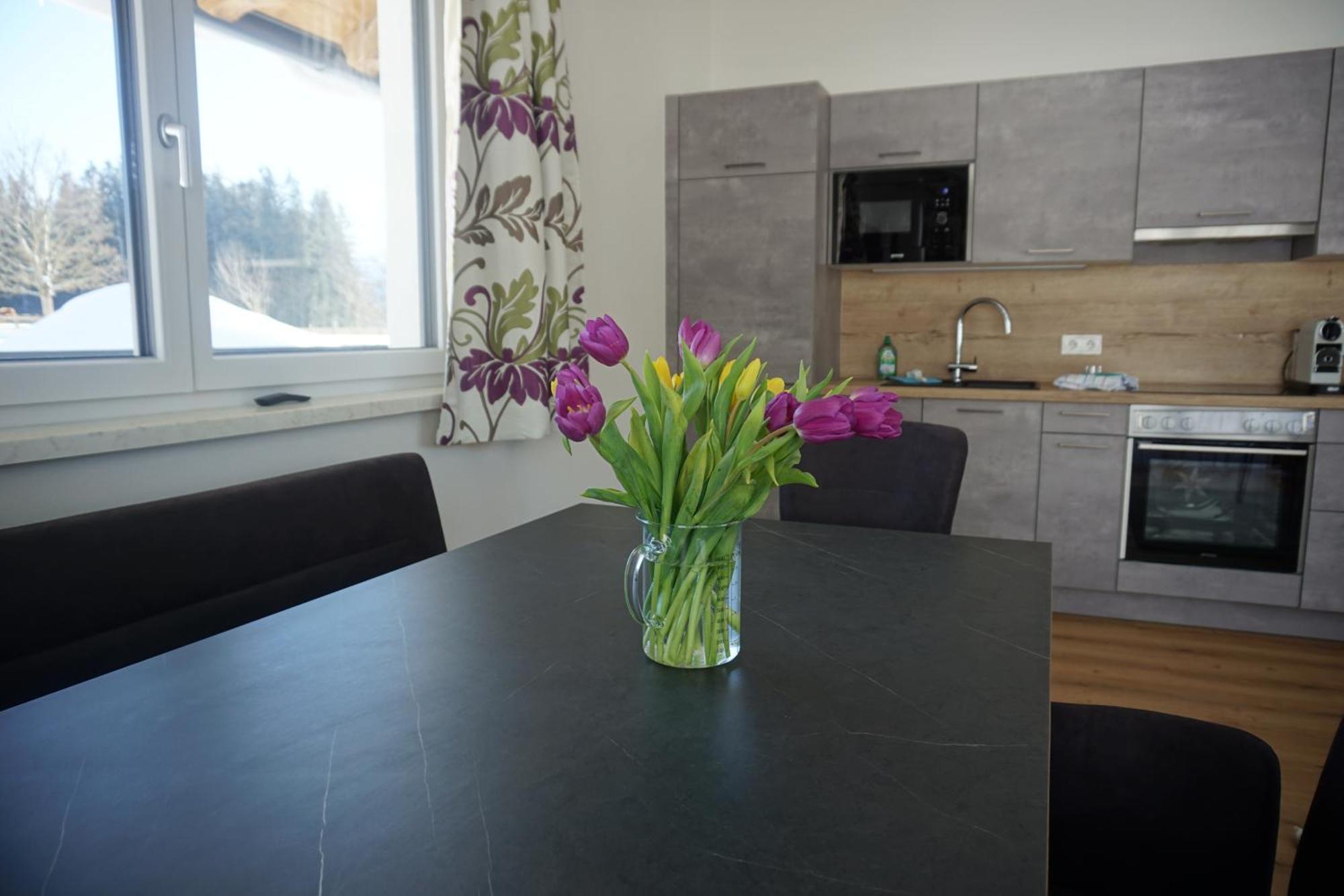 Appartements Blumenwiese رامساو أم داتشستين المظهر الخارجي الصورة